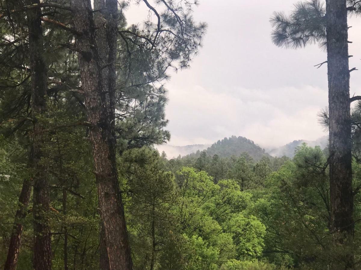 Gonzales Cozy Little Bear Cabin Ruidoso Exterior foto