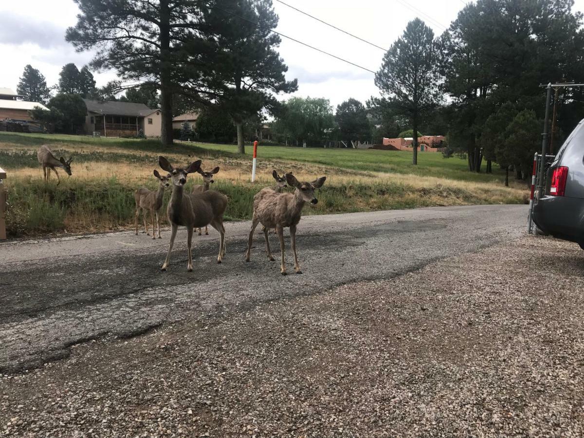 Gonzales Cozy Little Bear Cabin Ruidoso Exterior foto